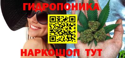 гашик Абакан