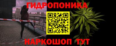 гашик Абакан